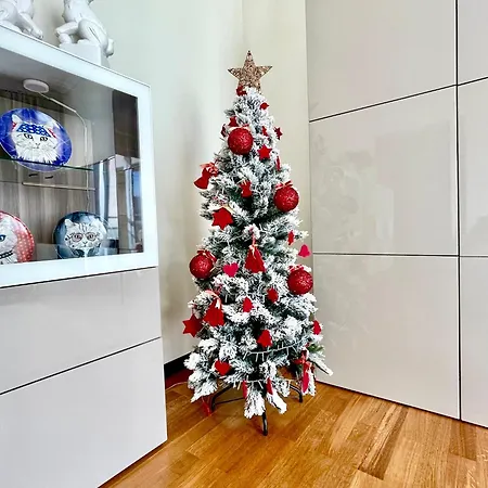 Rodamar Forum * 丰沙尔